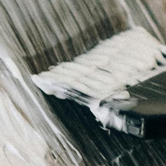 Black Friday Balayage Package